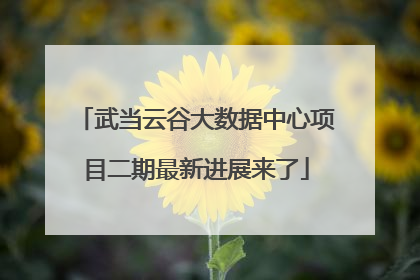 武当云谷大数据中心项目二期最新进展来了