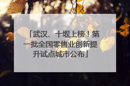 武汉、十堰上榜！第一批全国零售业创新提升试点城市公布