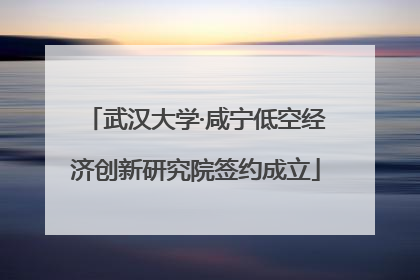 武汉大学·咸宁低空经济创新研究院签约成立