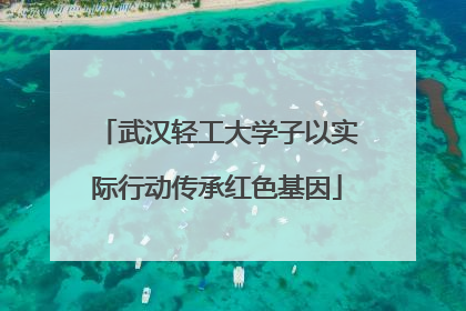 武汉轻工大学子以实际行动传承红色基因