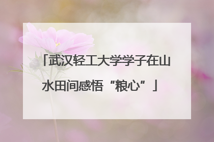 武汉轻工大学学子在山水田间感悟“粮心”