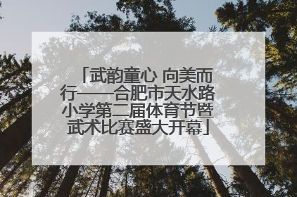 武韵童心 向美而行——合肥市天水路小学第二届体育节暨武术比赛盛大开幕