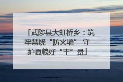 武陟县大虹桥乡：筑牢禁烧“防火墙” 守护夏粮好“丰”景