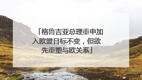 格鲁吉亚总理重申加入欧盟目标不变，但欲先重塑与欧关系