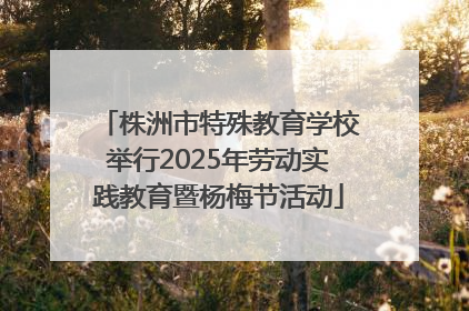 株洲市特殊教育学校举行2025年劳动实践教育暨杨梅节活动