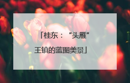 桂东：“头雁”王镇的蓝图美景