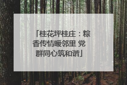 桂花坪桂庄：粽香传情暖邻里 党群同心筑和谐