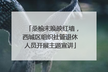 桑榆未晚映红墙，西城区组织社管退休人员开展主题宣讲