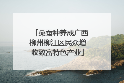 桑蚕种养成广西柳州柳江区民众增收致富特色产业