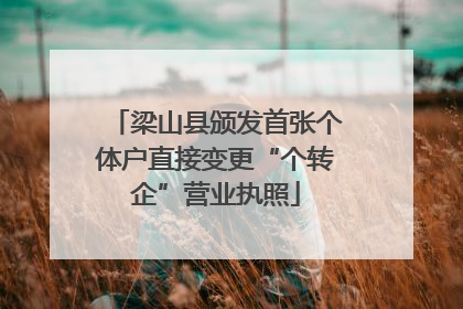 梁山县颁发首张个体户直接变更“个转企”营业执照