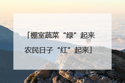 棚室蔬菜“绿”起来 农民日子“红”起来