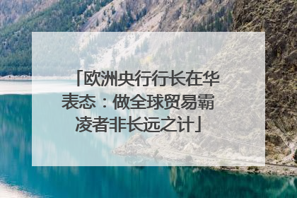 欧洲央行行长在华表态：做全球贸易霸凌者非长远之计