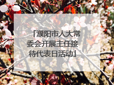 濮阳市人大常委会开展主任接待代表日活动