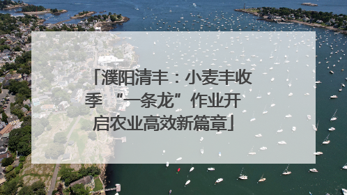 濮阳清丰：小麦丰收季 “一条龙”作业开启农业高效新篇章