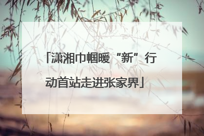 潇湘巾帼暖“新”行动首站走进张家界