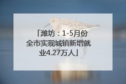 潍坊：1-5月份全市实现城镇新增就业4.27万人