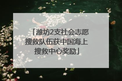 潍坊2支社会志愿搜救队伍获中国海上搜救中心奖励