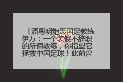 潘粤明炮轰国足教练伊万：一个装傻不辞职的所谓教练，你指望它拯救中国足球！此前曾多次发文评价国足