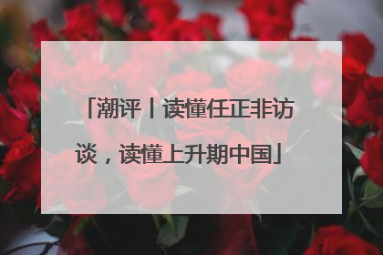 潮评丨读懂任正非访谈，读懂上升期中国