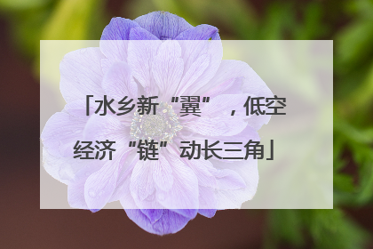 水乡新“翼”，低空经济“链”动长三角
