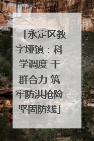 永定区教字垭镇：科学调度 干群合力 筑牢防洪抢险坚固防线