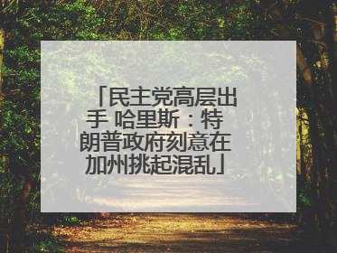 民主党高层出手 哈里斯：特朗普政府刻意在加州挑起混乱