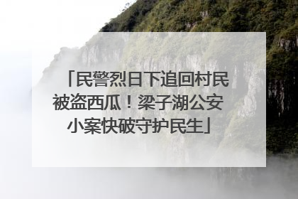 民警烈日下追回村民被盗西瓜！梁子湖公安小案快破守护民生