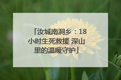 汝城南洞乡：18小时生死救援 深山里的温暖守护