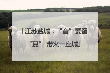 江苏盐城：“音”爱留“夏” 带火一座城