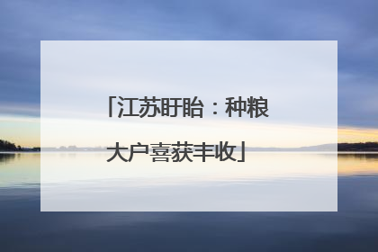 江苏盱眙：种粮大户喜获丰收