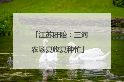 江苏盱眙：三河农场夏收夏种忙