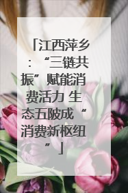 江西萍乡：“三链共振”赋能消费活力 生态五陂成“消费新枢纽”