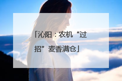 沁阳：农机“过招”麦香满仓