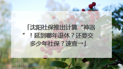 沈阳社保推出计算“神器”！延到哪年退休？还要交多少年社保？速查→