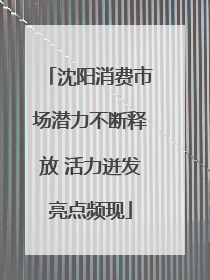 沈阳消费市场潜力不断释放 活力迸发亮点频现
