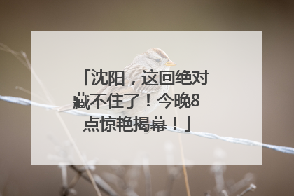 沈阳，这回绝对藏不住了！今晚8点惊艳揭幕！