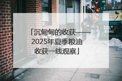 沉甸甸的收获——2025年夏季粮油收获一线观察