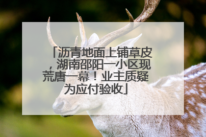 沥青地面上铺草皮，湖南邵阳一小区现荒唐一幕！业主质疑为应付验收