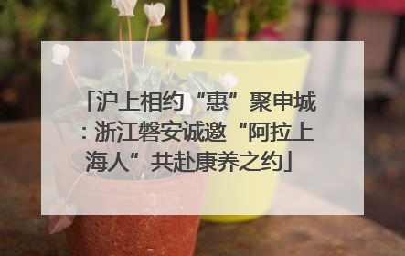 沪上相约“惠”聚申城：浙江磐安诚邀“阿拉上海人”共赴康养之约