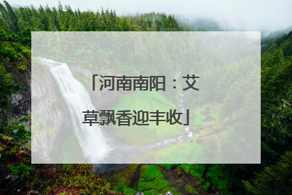 河南南阳：艾草飘香迎丰收