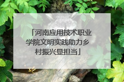 河南应用技术职业学院文明实践助力乡村振兴显担当