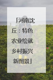 河南沈丘：特色农业绘就乡村振兴新图景