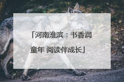 河南淮滨：书香润童年 阅读伴成长