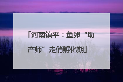 河南镇平：鱼卵“助产师”走俏孵化期