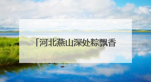 河北燕山深处粽飘香 订单赶制迎端午