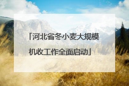 河北省冬小麦大规模机收工作全面启动