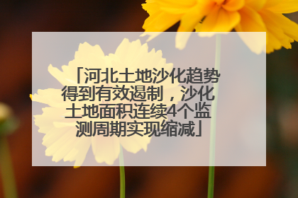 河北土地沙化趋势得到有效遏制，沙化土地面积连续4个监测周期实现缩减