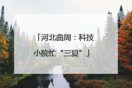 河北曲周：科技小院忙“三夏”