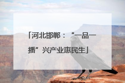河北邯郸：“一品一播”兴产业惠民生