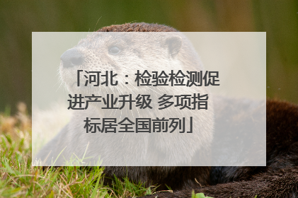 河北：检验检测促进产业升级 多项指标居全国前列